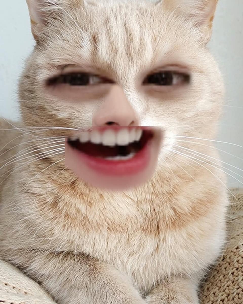 linosgrrr's tweet photo. hyunjin, jeongin, lee know, 
bang chan https://t.co/tRXOie2i5j