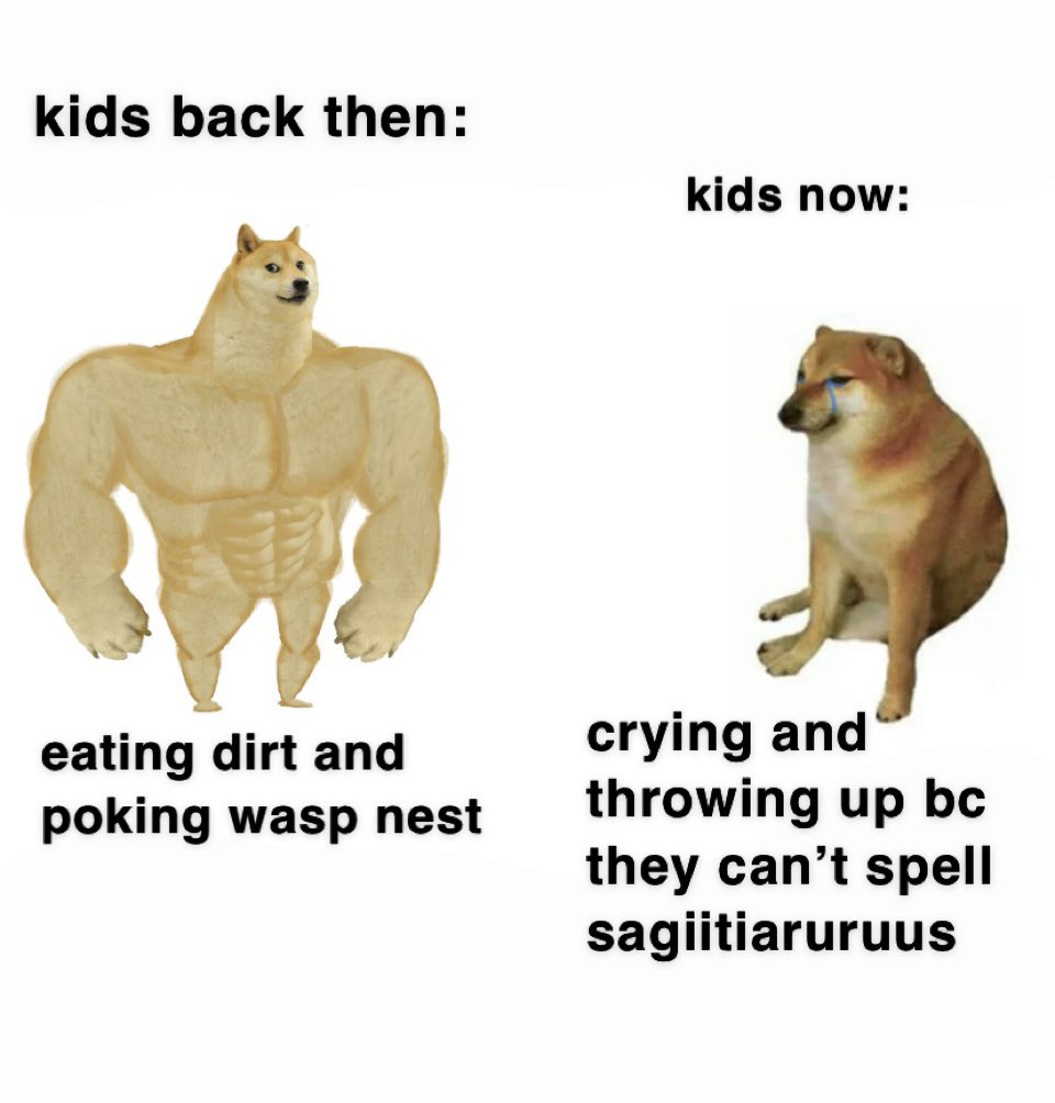 rawr tweet media