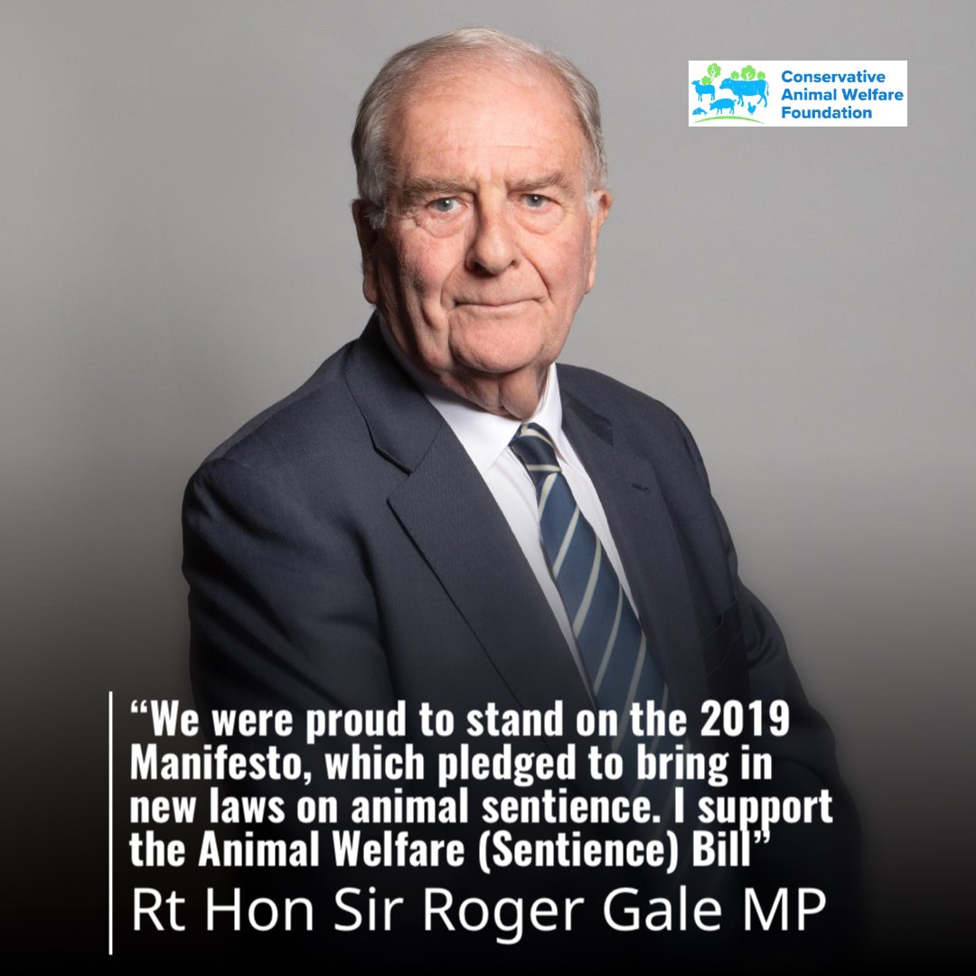 Great to see strong support for the #SentienceBill by our Patron <a href="/SirRogerGale/">Sir Roger Gale</a> :
“We were proud to stand on the 2019 Manifesto, which pledged to bring in new laws on animal sentience. I support the Animal Welfare (Sentience)Bill” #ActionForAnimals