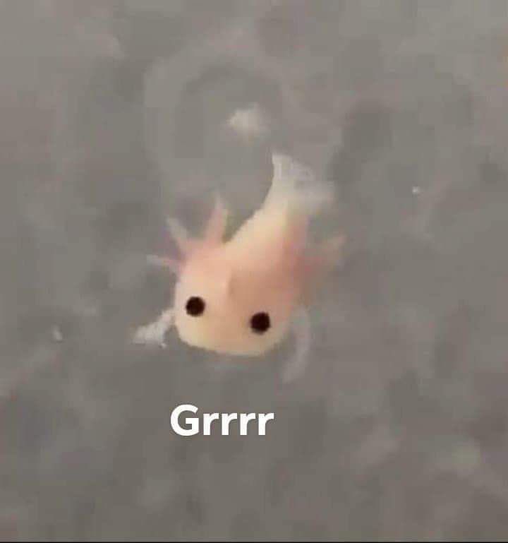 httpskai_'s tweet image. Baby akala ko ikaw, pakiss na dali.