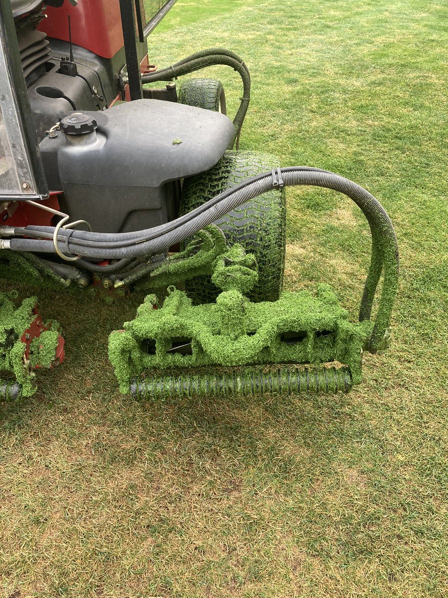 Smoke makes turf grow!!