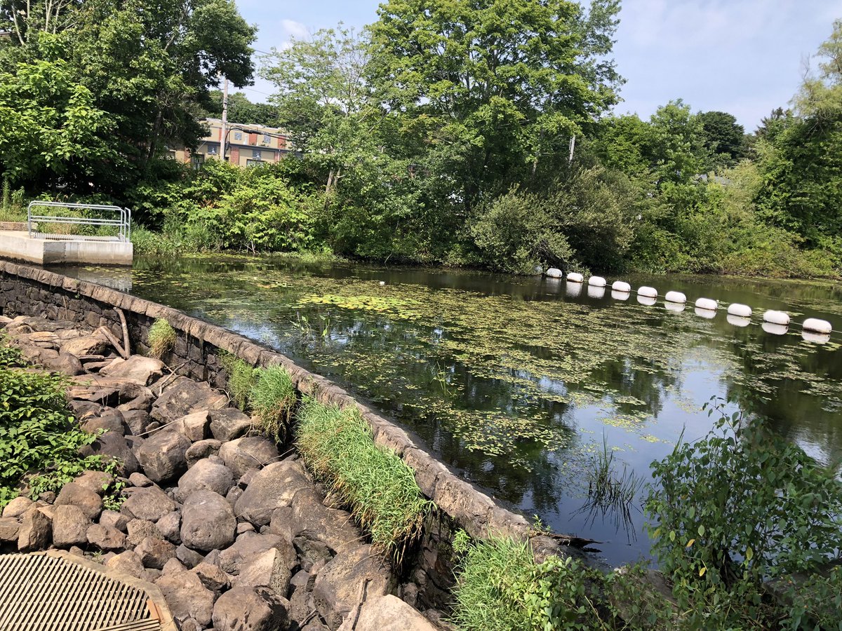 H2O_Soni's tweet photo. We need some rain!
#PradhanangLab #WaterWhisperer @URI_GEO @uricels @universityofri @AcademicChatter #hydrology #dams  #environmentalflow #ecohydrology https://t.co/VRyBY6ScQO