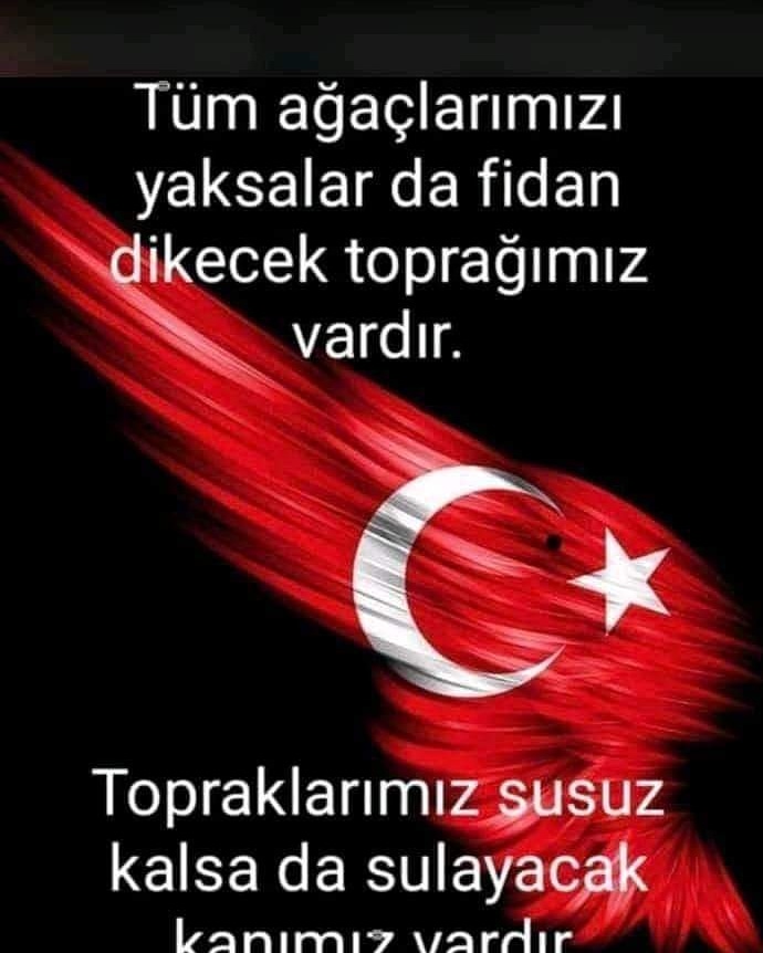 Serdar Tepeöz (@ehliyetkeyfi) on Twitter photo 