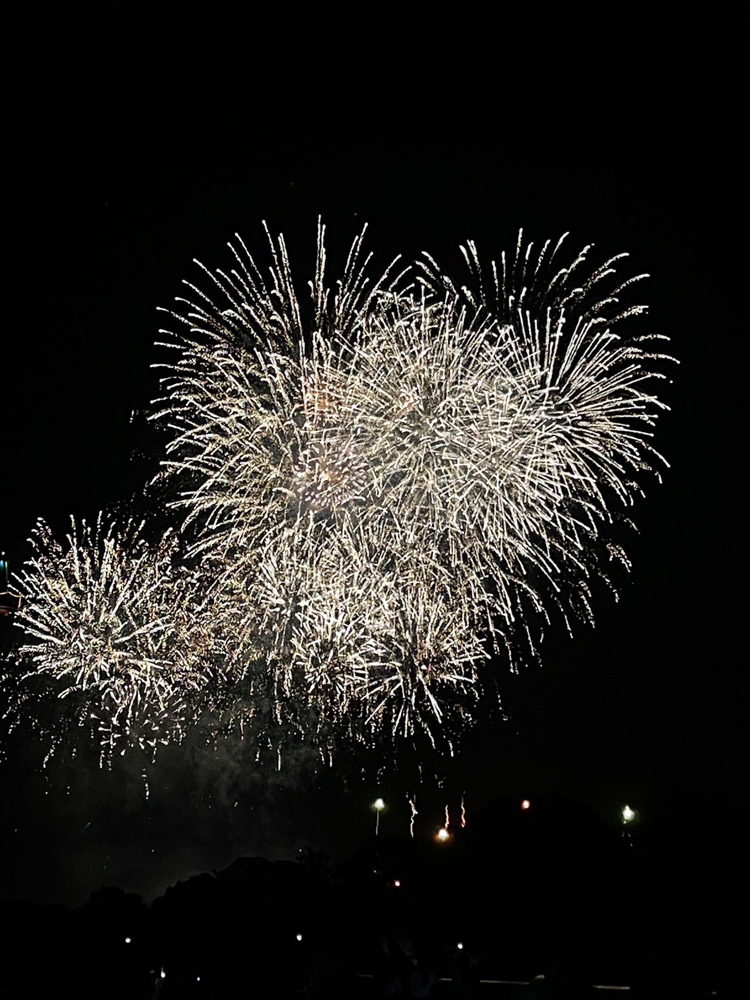 おぜ メットライフドームのすぐ横 西武遊園地の花火見てきたよー Seibulions 西武園ゆうえんち メットライフドーム T Co Hqfgm0la76 Twitter