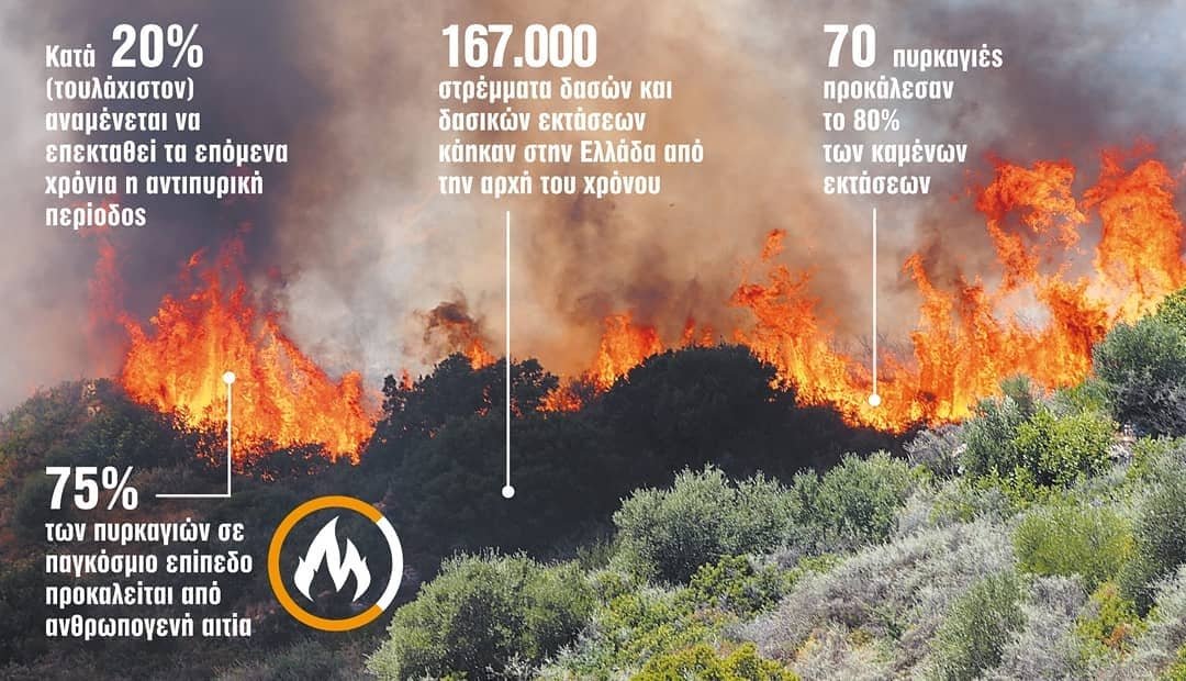 Προστατεύουμε τα δάση και τη φύση! / Protect our forests and nature! ❤🙏 #fire #protectourforests #forest #forests #nature #mothernature #tree #trees #greece #greekforest #natural #becareful