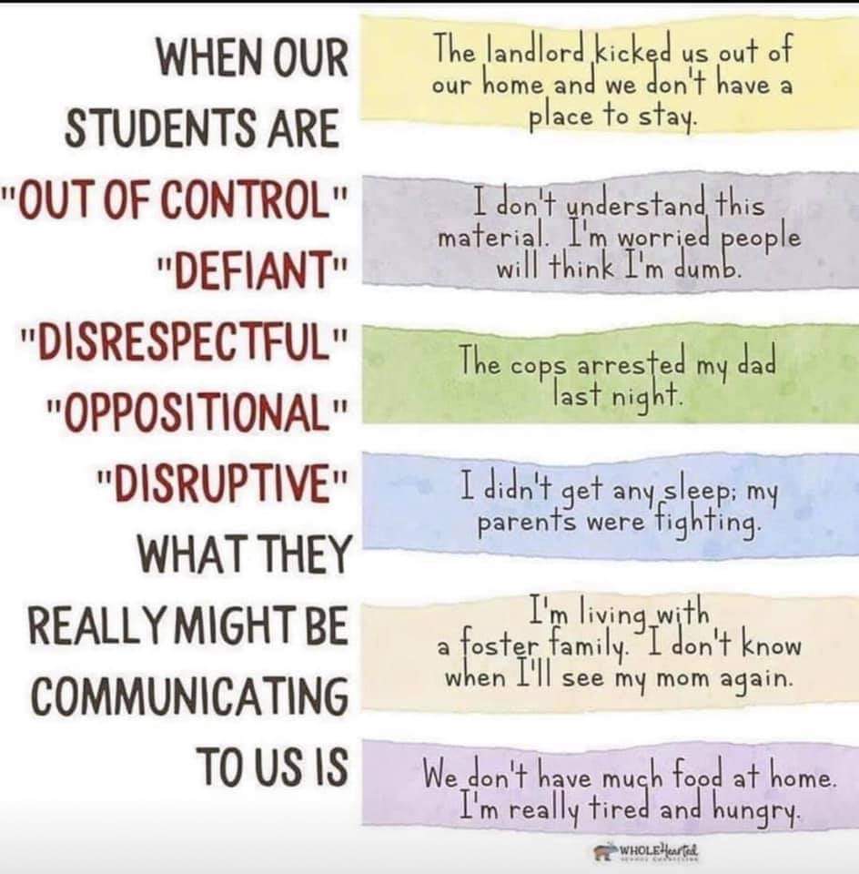 Gerry🧠🌱 tweet media