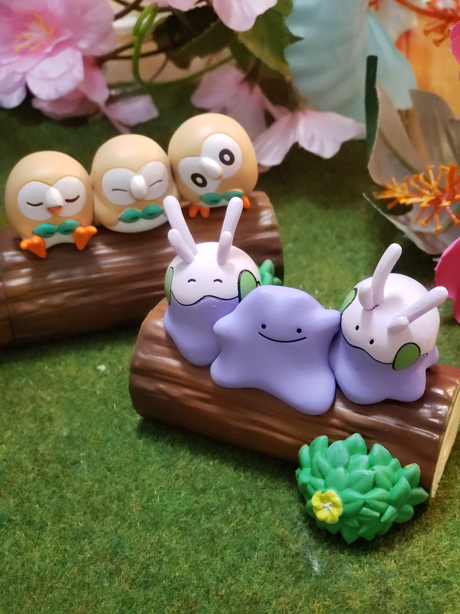 ポケモンなかよしの木 Twitter Search Twitter