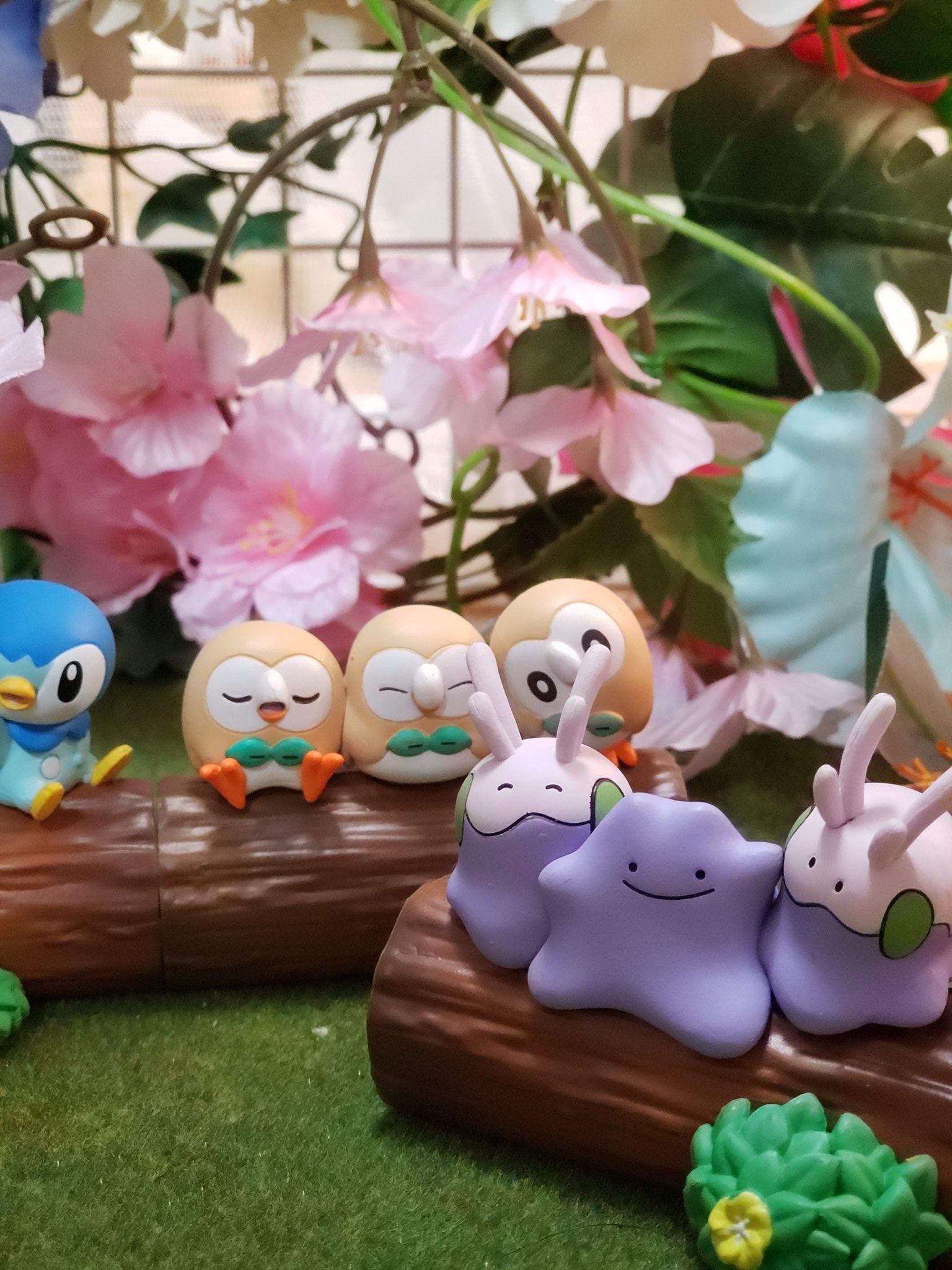 ポケモンなかよしの木 Twitter Search Twitter
