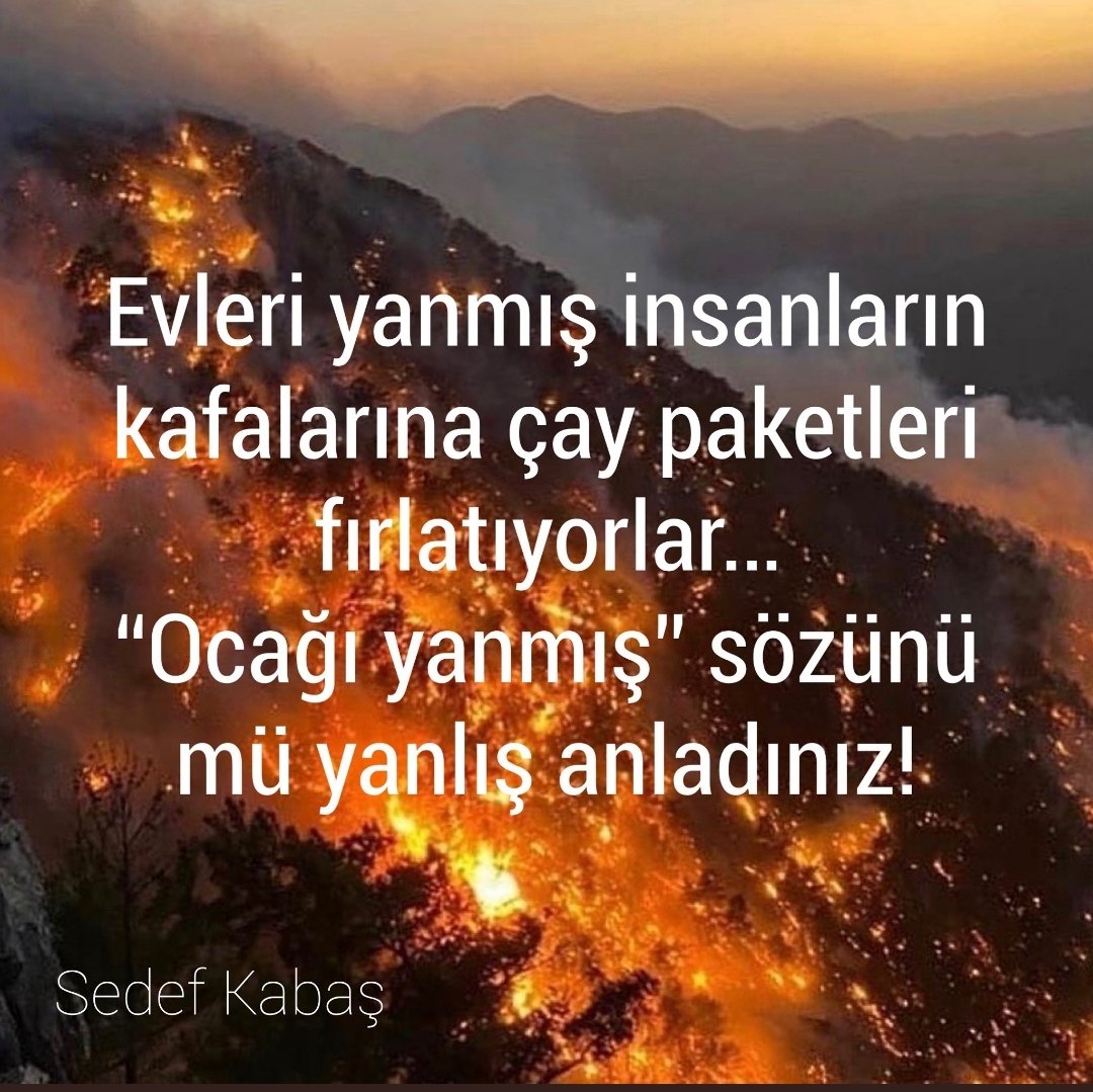 vethcr's tweet photo. #akpartea 
#cayınıdaalgit https://t.co/zAiTNH2Bxy