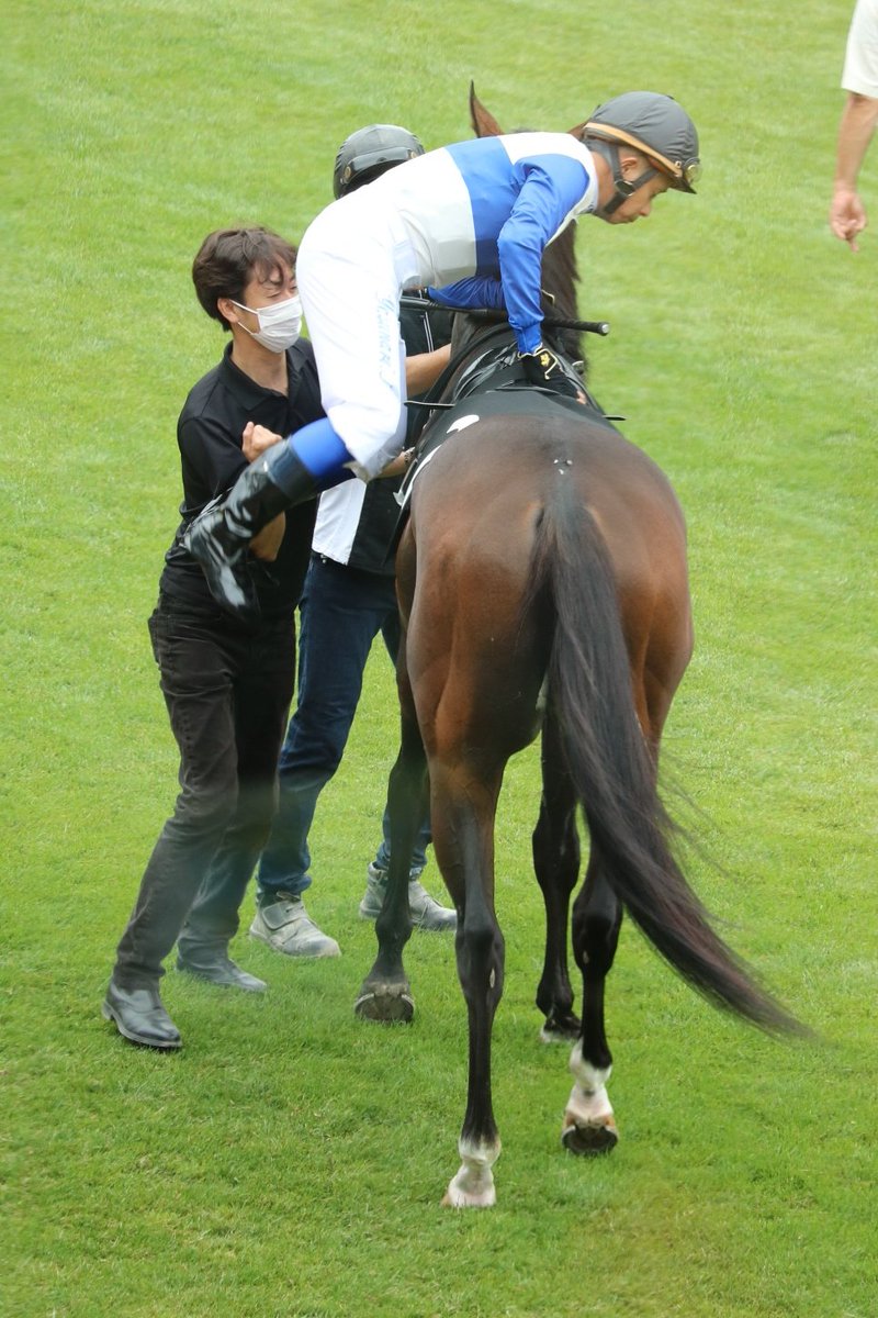 むぎ(うまこ)@ﾓﾘｽ (@umauma_2015) on Twitter photo 