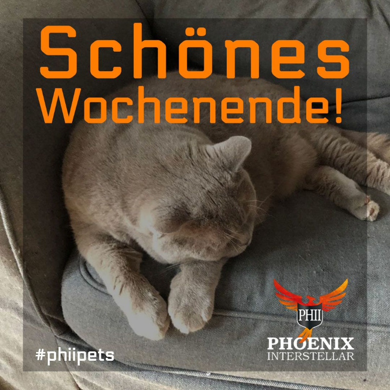 Wir wünschen euch ein schönes Wochenende! #phiipets #weekend #starcitzien #phii