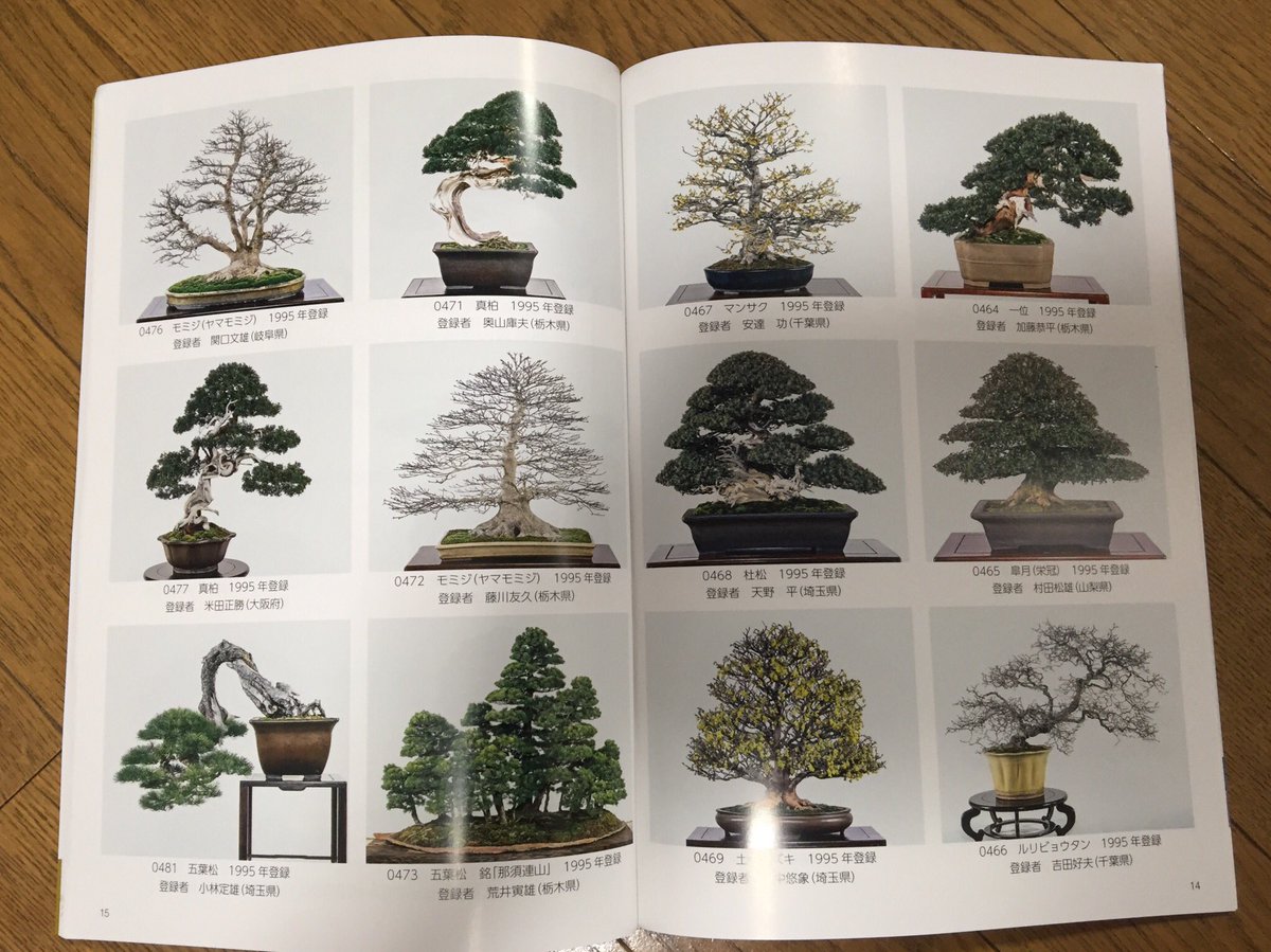 樹平様専用 売れ筋がひ! www.shelburnefalls.com