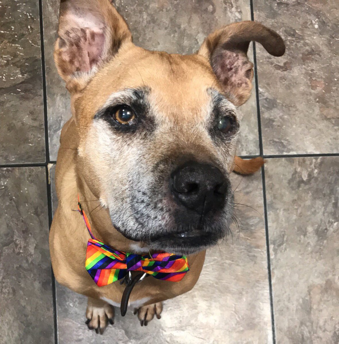 Holy Elle tweet media