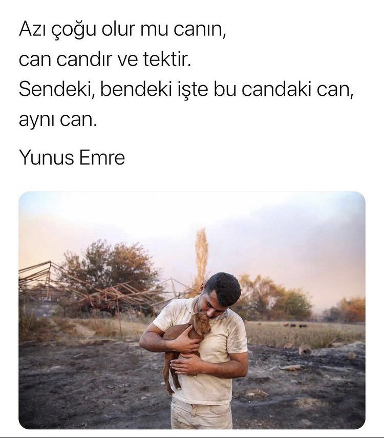 Feyza EREN (@feren61) on Twitter photo 