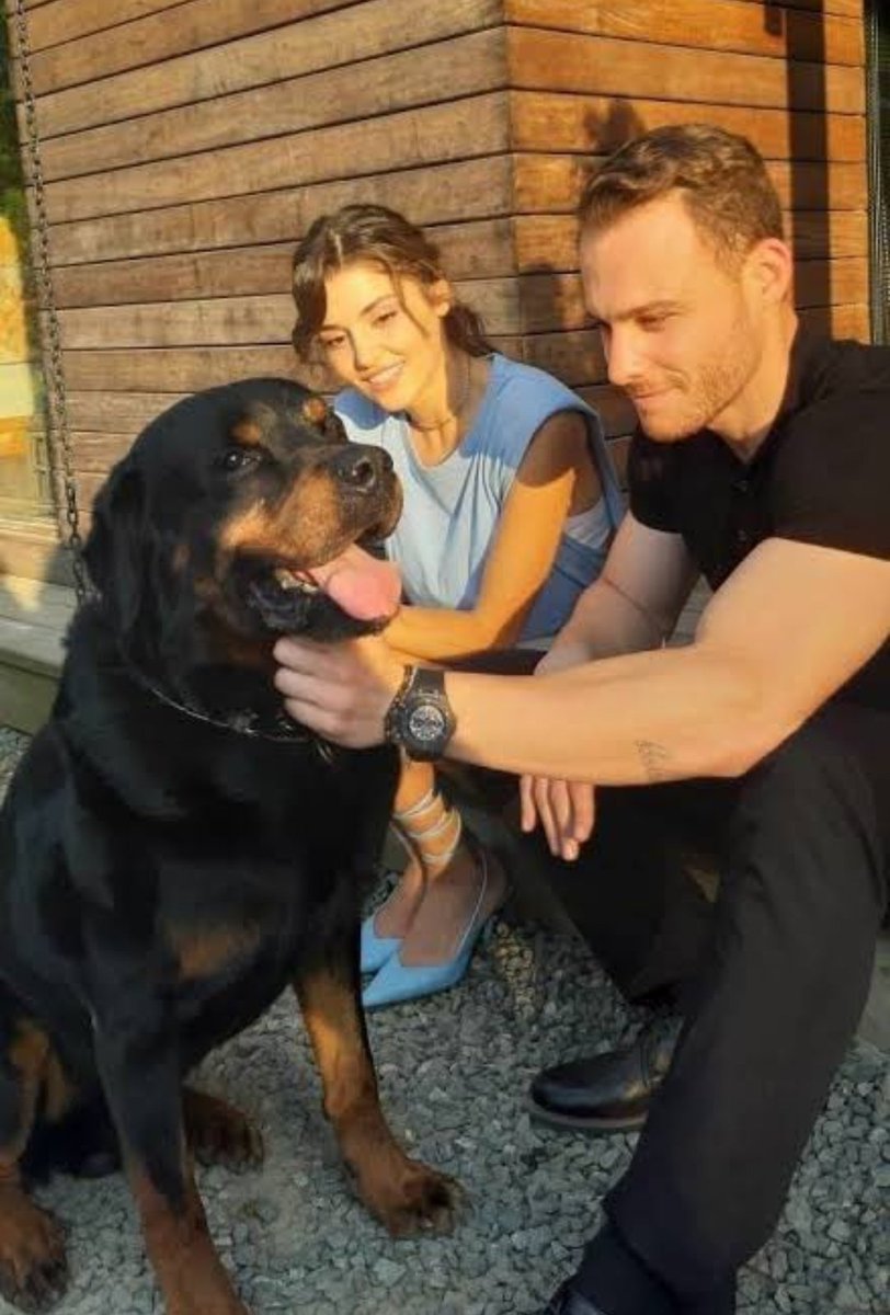 Huzurla uyu Küba namı diğer Sirius 😢❤