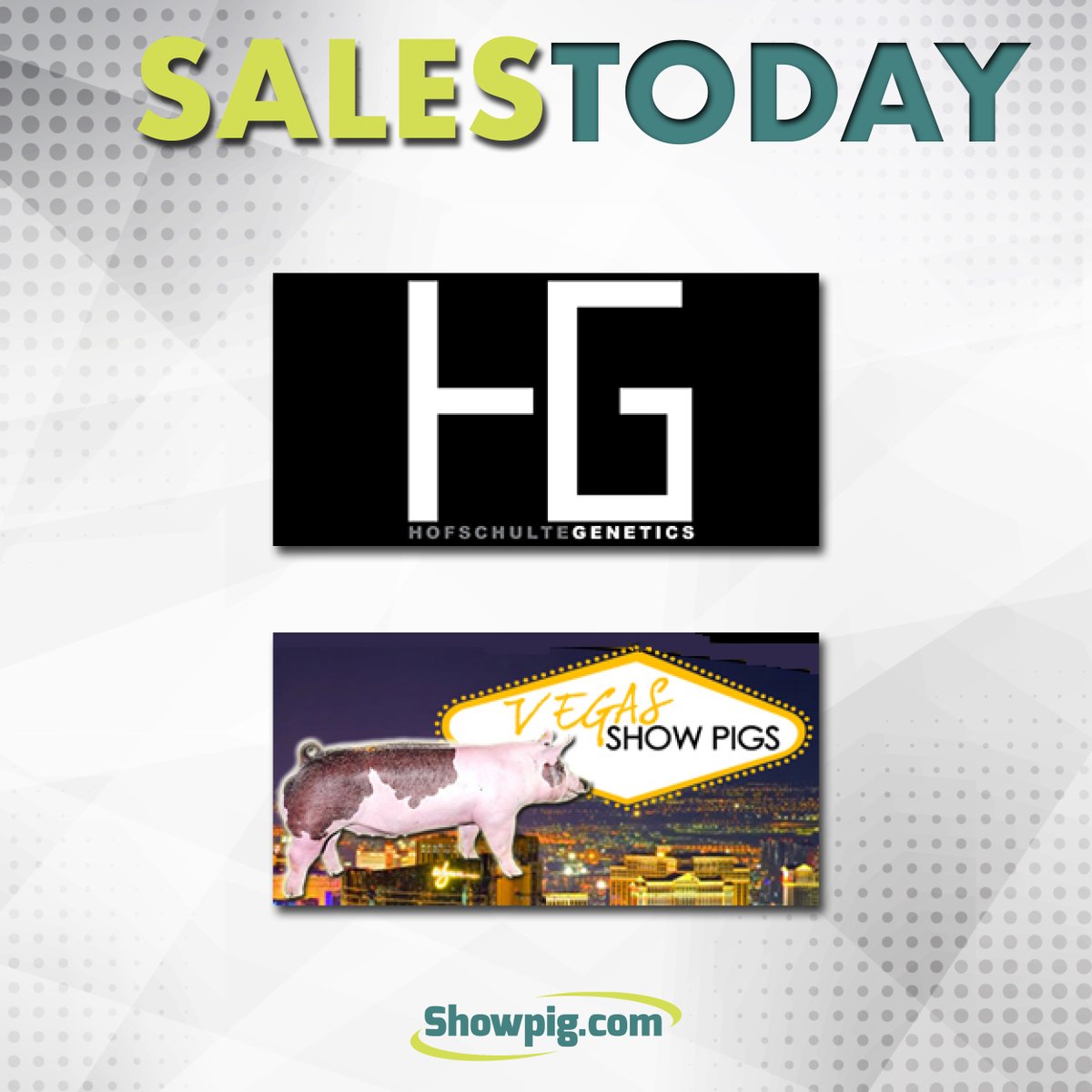 Showpig.com tweet media