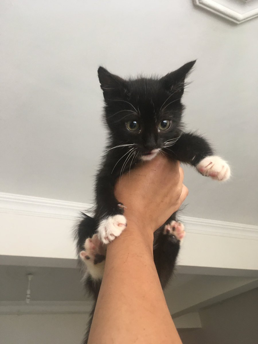 📌📌Düzgünce yazan kişi sayısı 0. Acil yuvalanmaları lazım bu bebeklerin📌📌 Paylaşır mısınız?