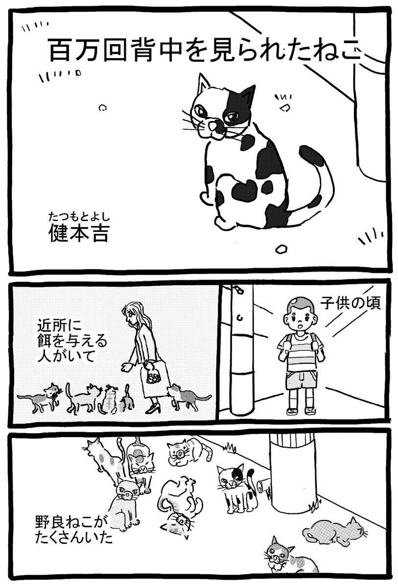 11/28名古屋コミティア59
ネコ漫画アンソロジーに参加します。
(主催者ネコナンデス様)
かわいい猫の思い出が1つあったので。
全8ページですが、3ページ分だけアップします。

ほんとにかわいいねこだったんだよ。
是非コミティアへ! 