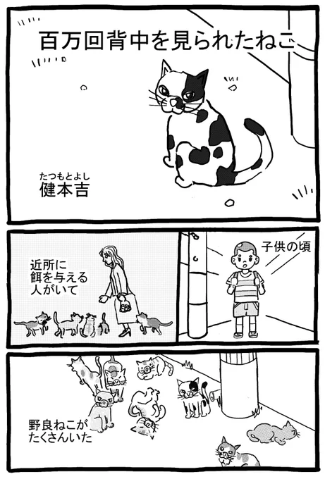 11/28名古屋コミティア59ネコ漫画アンソロジーに参加します。(主催者ネコナンデス様)かわいい猫の思い出が1つあったので。全8ページですが、3ページ分だけアップします。ほんとにかわいいねこだったんだよ。是非コミティアへ! 