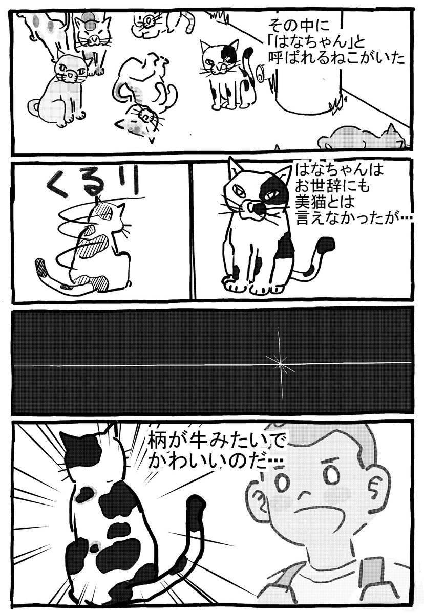11/28名古屋コミティア59
ネコ漫画アンソロジーに参加します。
(主催者ネコナンデス様)
かわいい猫の思い出が1つあったので。
全8ページですが、3ページ分だけアップします。

ほんとにかわいいねこだったんだよ。
是非コミティアへ! 