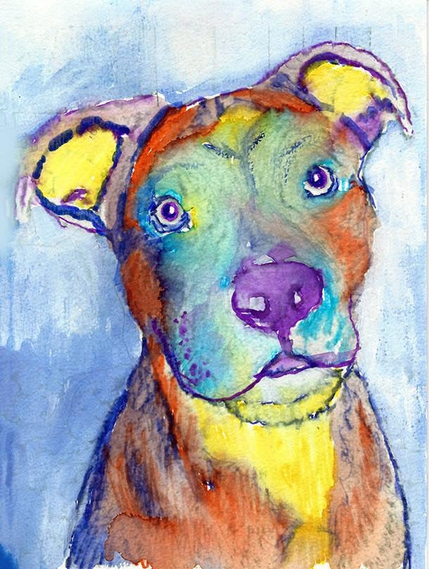 American Staffy colorful Dog Painting,American staffy dog Print ,watercolor American Staffie owner gift, Staffordshire bull wall art print etsy.com/DogFishArtCo/l… #dogsoftwitter #dogs #Art