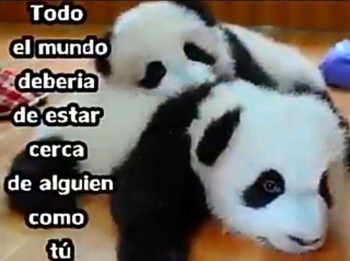 Janett_Rivera_'s tweet photo. https://t.co/YRtuhN5dEL