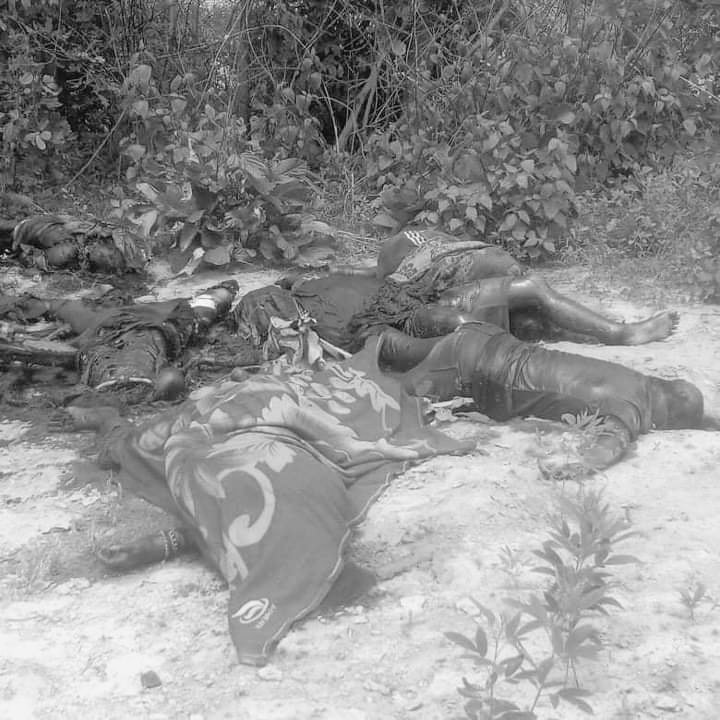kay_aprilnyein's tweet photo. Sagaing Division, the dead bodies of 12 people included a 14yro child were found on July 31 who were abducted by Junta on July 26 and 27 in the jungle near east village Taungpauk in Kani Township.

SIGN THE PETITION FOR NUG
#KaniMassacre
#Aug1Coup 
#WhatsHappeningInMyanmar https://t.co/MW05lcPehW