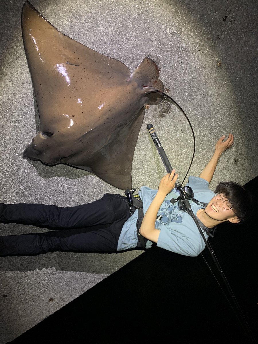 うえそう ナルトビエイですか