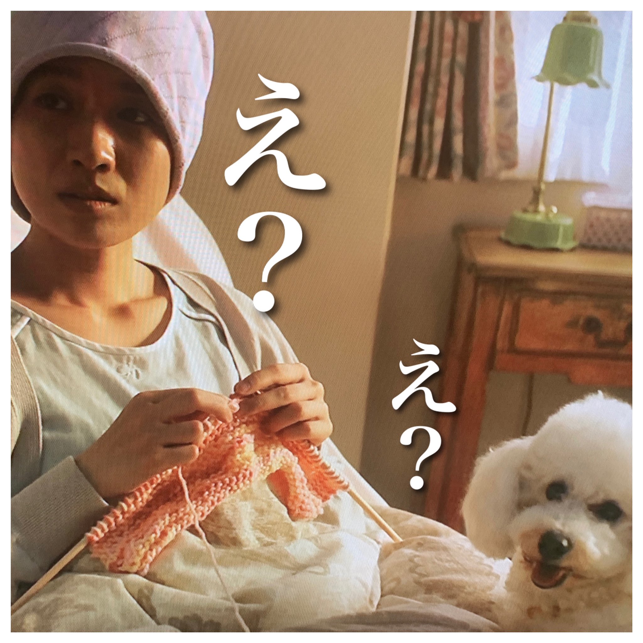 Twitter 上的 Shiho 雫ちゃん オレ頑張る 雫さん 六花 え 六花さん なかなかの演技ですぞ ライオンのおやつ T Co W8uhlsggv9 Twitter