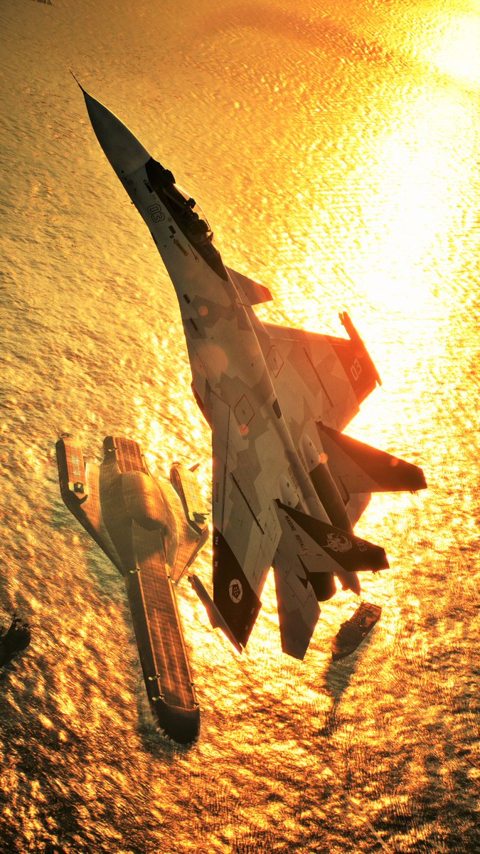 ryuryu_RF's tweet photo. Su-33 - Skies Untold SACS 03-
#ACE7
#エースコンバット7MOD写真部 https://t.co/tsPJQH81MC