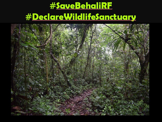 Samrat_singha_'s tweet photo. @ParimalSuklaba1 @mygovassam @himantabiswa  In chaos and Exchanges of Economy, have we forgotten Biodiversity ? Our Forest are being torn apart, burnt, stretched and we don't even know where does it exists. #SaveBehaliRF #DeclareBehaliWildlifeSanctuary. Save our Homes. We need it https://t.co/uJCBhIsKAr