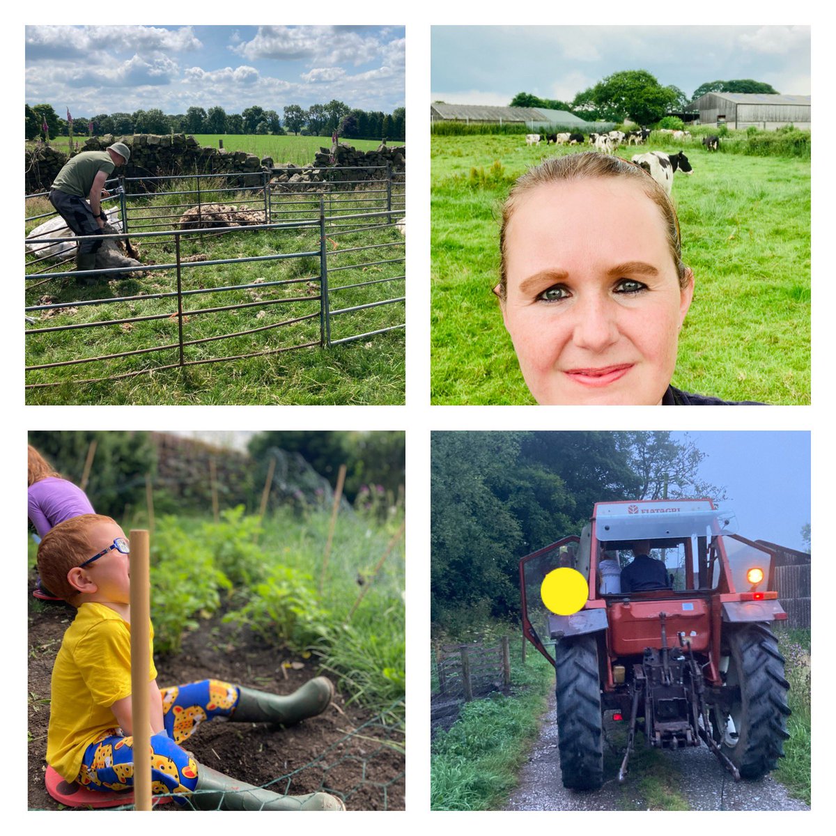 bernardsfarmuk's tweet photo. Sheeping, tractoring, cow juicing & growing a thingβ¦ π π π₯ π π¨βπΎ π©βπΎ π₯ π₯
#WeekendsOnTheFarm #Grafting #FarmingFamily #Sheeping #CowJuice #ReliefMilking #Tractoring #TeamBernard #FarmingOnAWingAndAPrayer #GrownAThing #FirstGenerationFarmers @JeremyClarkson https://t.co/uzGkvX7ukW