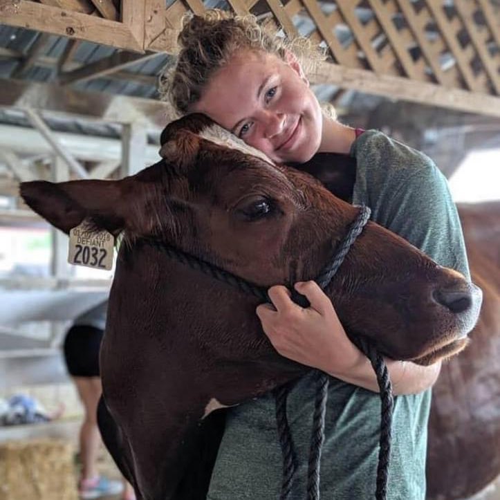 CVSDnews's tweet photo. 🎉 STUDENT SPOTLIGHT! We’re #CVproud of @FlyCVEagles’ Analise Stover, who earned Grand Champ + Reserve Grand Champ honors at the Shippensburg Fair Holstein Show. 🐄 Please give her a huge #CVshoutout!  (Stay tuned, we've got another BIG student accomplishment to share soon!) https://t.co/IlXke38D5h