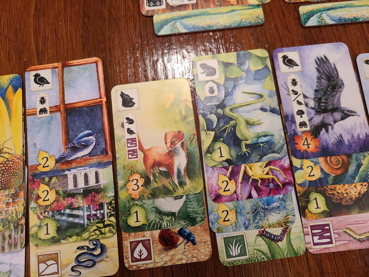 TableIt_'s tweet image. Stunning artwork paired with clever card drafting and set collection gives us Meadow from Rebel Studios! Highly recommend this game at two players for a great head to head experience building your competing meadows to become the best nature observer.