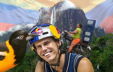 Fancision tweet media