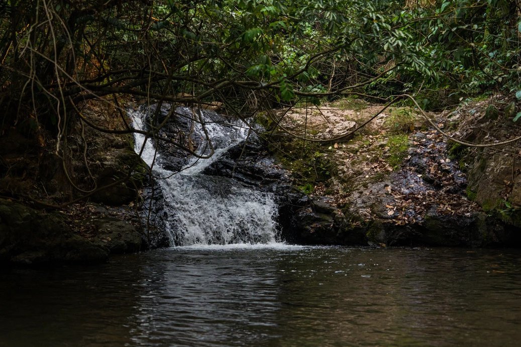Le Congo Est Chic tweet media