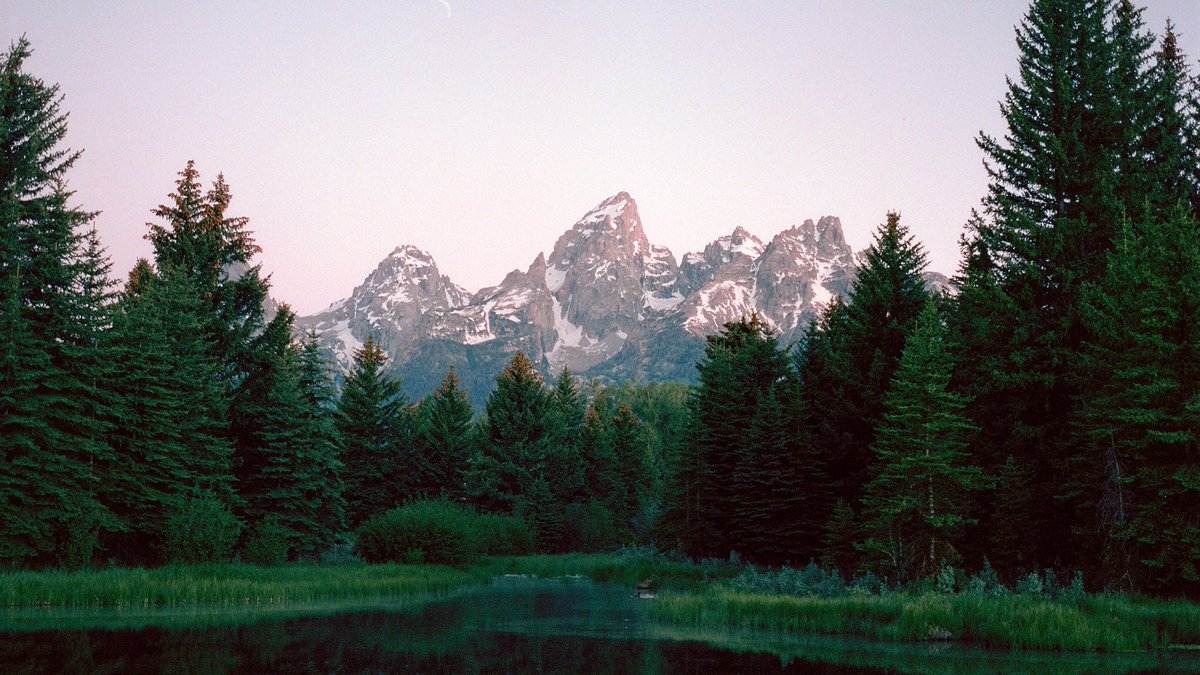 nev_in_color's tweet image. Mornings in Wyoming. 🎞