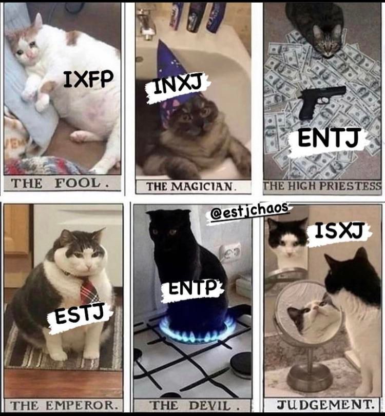 MemesMbti's tweet photo. #IXFP #INXJ #ENTJ #ESTJ #ENTP #ISXJ https://t.co/sC9Xi8WnI0