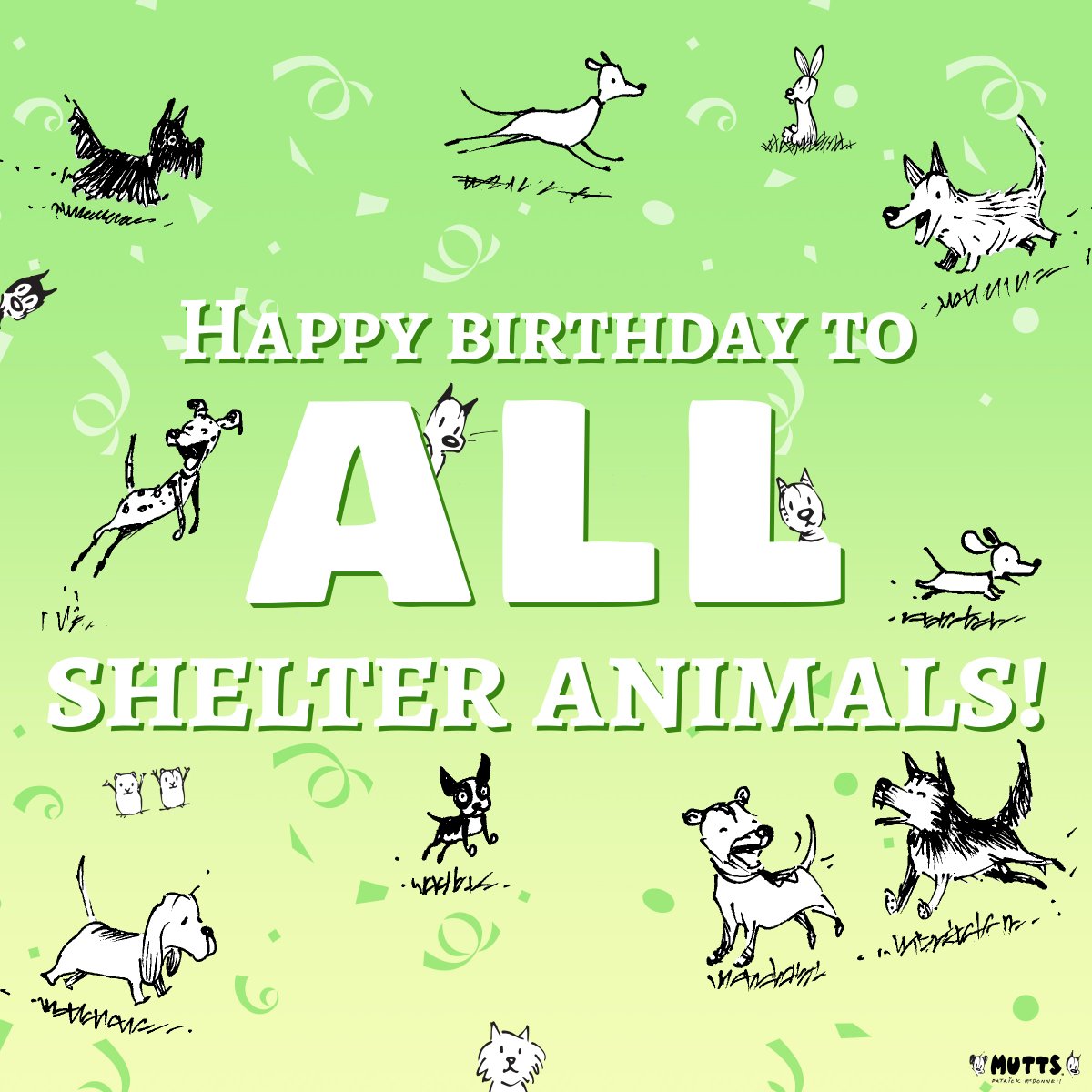 Did you know? August 1 is "DOGust," the universal birthday for ALL shelter animals whose exact birthdates are unknown. Show us a picture of your shelter pet, and tell them "happy birthday" for us! #Dogust