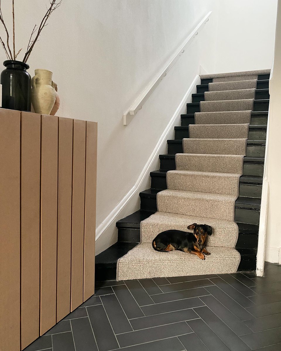 The whole family approves of this runner using our Olympia Fudge Carpet! 😍

Thanks for sharing shaunamcgregor! 😍

🛒 Order your Free Samples today!
👉 bit.ly/3zKXpzq

#Carpet #Carpets #StairCarpet #NeutralCarpet #Hallway #Stairs