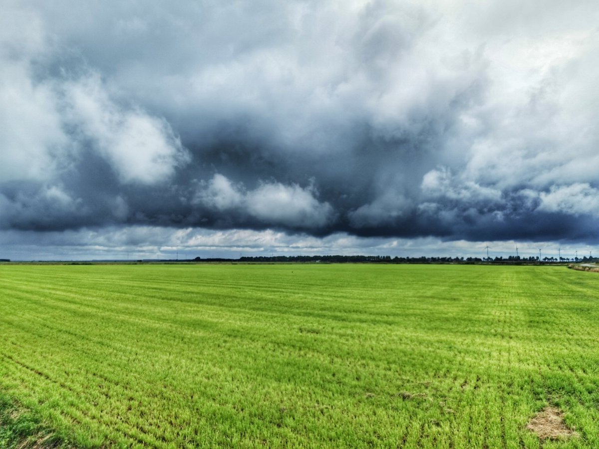 Zondag in Drenthe .... 🍀
Loop van de Hunze en Hondsrug, tussen Valthe en Buinen, buien en zon wisselen elkaar af.
#wandelen 
#mooidrenthe #drenthe #drenthedoetwatmetje
<a href="/drentslandschap/">Het Drentse Landschap</a>