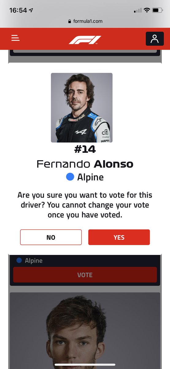 #HungarianGP #F1 voted Alonso. Great job setting Hamilton in place 💪🏼❤️ You did a fantastic job! Touché 👌🏻