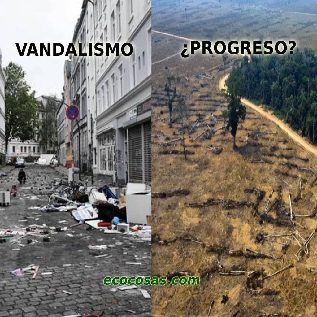 ecocosas's tweet photo. Me preguntó ¿Porque nosotros los homoidiotus, llamamos a destruir nuestras ciudades vandalismo pero, a destruir la selva que es hogar de millones de seres vivos, producen oxígeno, lluvia y alimento le decimos simplemente deforestar? #ecocosas #ecologia #… https://t.co/QfS6rDePwn https://t.co/zioESGnjXO
