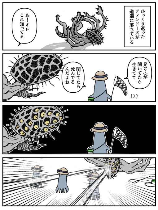 八日目のアメンドーズ。 