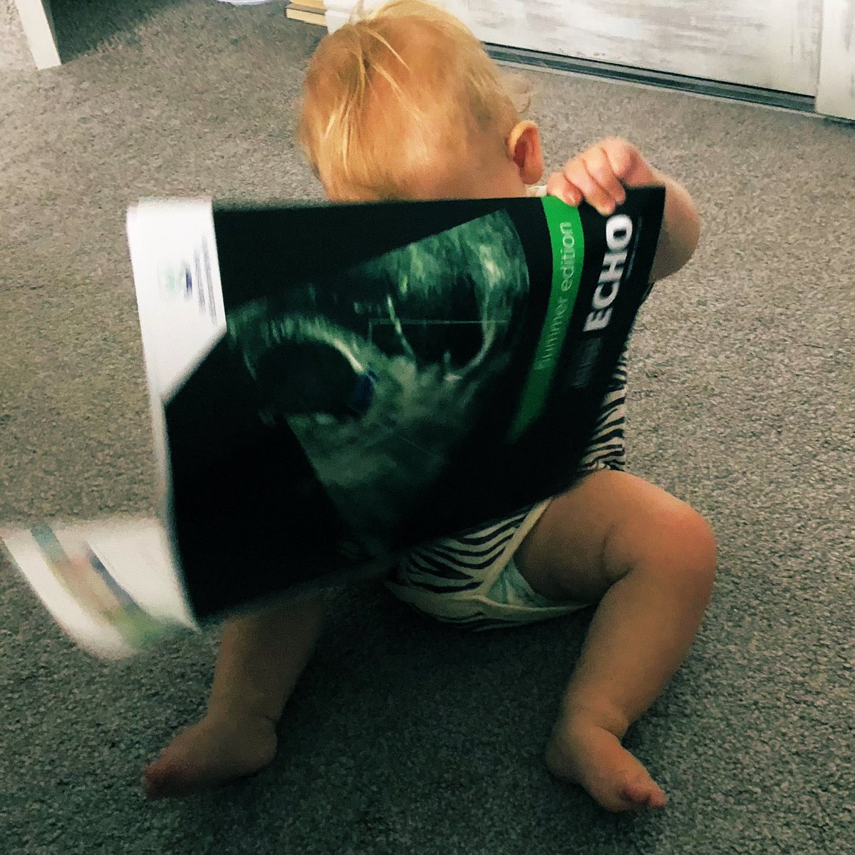 bex794's tweet photo. After a hard morning Echo study - life is all about an orange duck! @BSEcho #startthemyoung https://t.co/oJMFA45dyA
