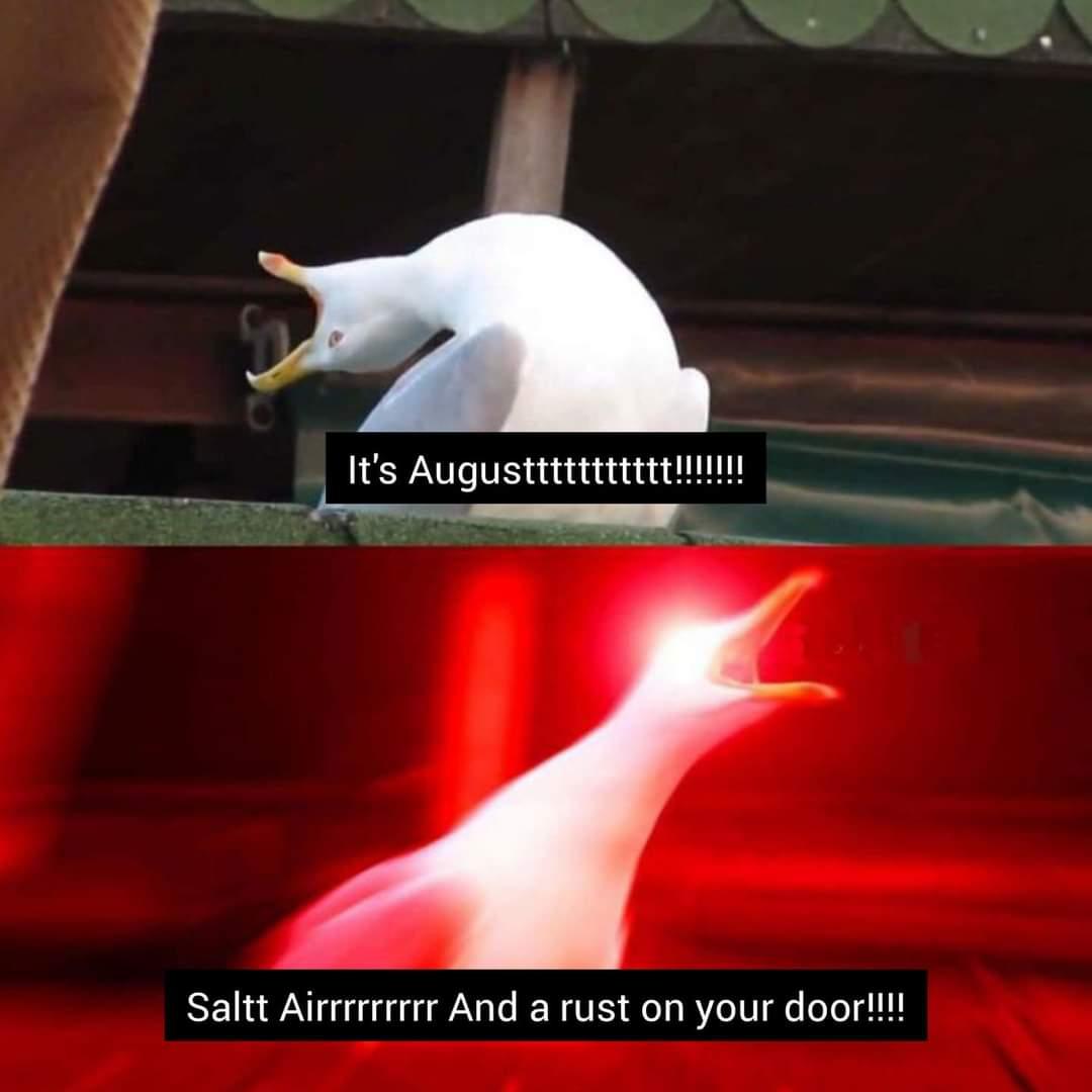 Tanaz_TS13's tweet image. #Augusttaylorswift