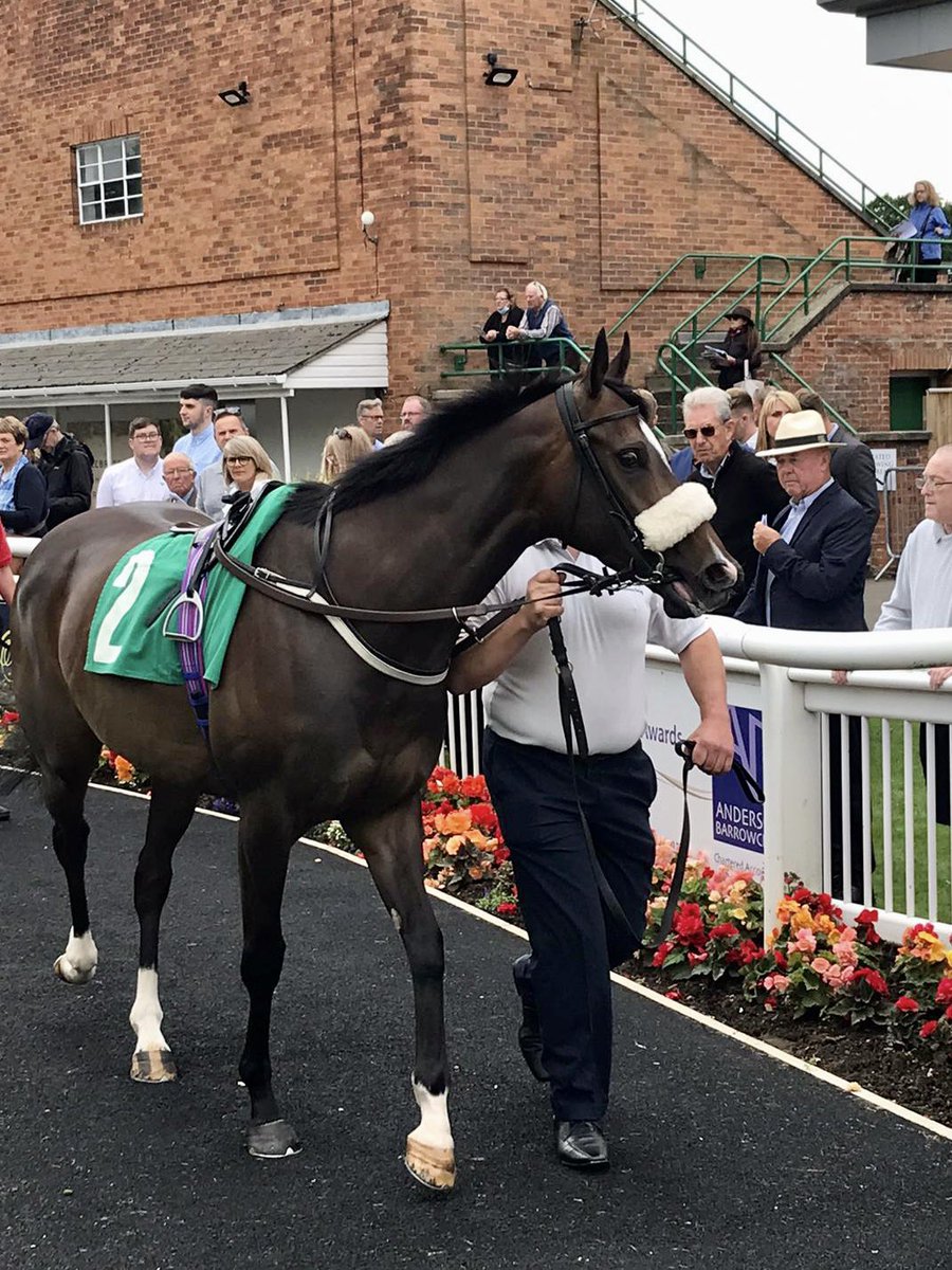 HambletonRacing's tweet image. Attractive filly Stars In The Night nearly made it four wins for the season when going down by a neck @ThirskRaces for the @kevinryanracing team earlier this afternoon! #HambletonTeam #FlyingFilly #MultipleWinner 🏇🏼💛💙