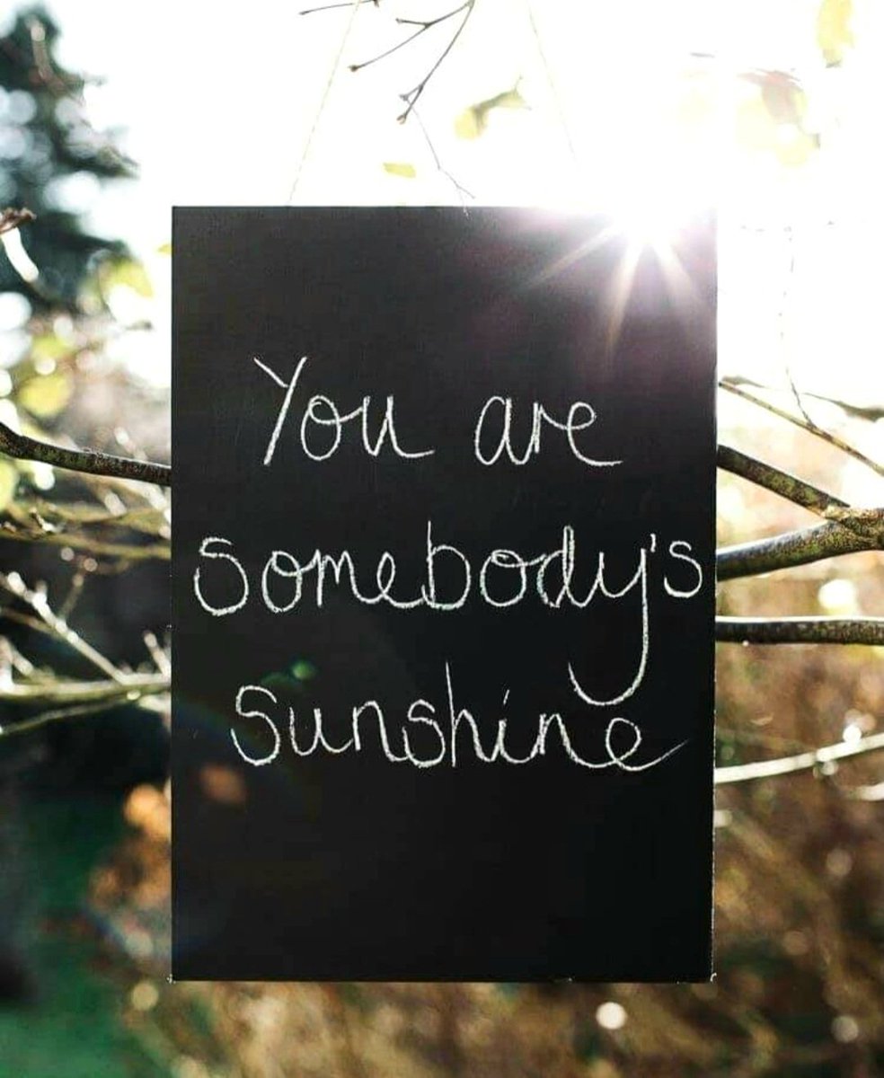 CSprite3's tweet image. Happy relaxing Sunday🌻 Beautiful day to start you out. Sitting alone or enjoying with someone. Appreciate what we have and just be grateful for everything. We've come a long way and there's more adventure to be had. Be ready. Have a wonderful day😊🌺🐦🌼🦋❤