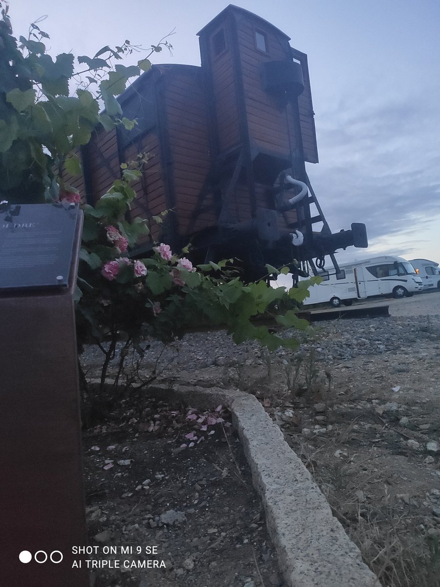 . <a href="/Ebaezan/">Rosa Palo</a> solo apto para los viajeros en #autocaravana.
Dormir en un mar de viñedos de la mano de <a href="/espanadiscovery/">España Discovery</a> 
Si puedes, vivelo!!