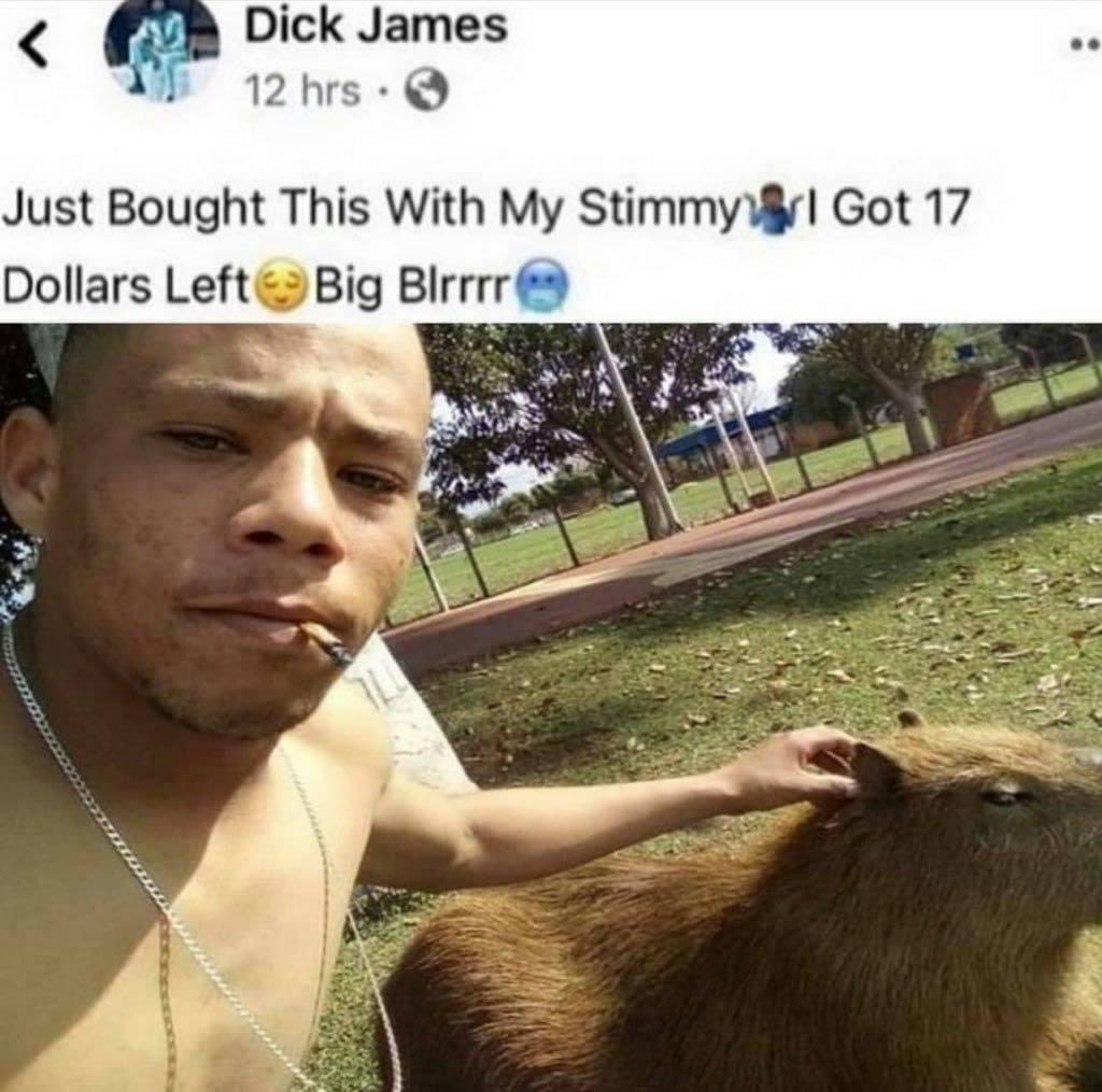 CAPYBARA_MAN's tweet photo. https://t.co/winypyOGsR